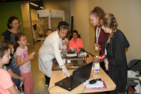 Kísérletbazár - 2018.