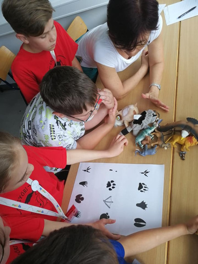 Győri Gyerekegyetem - 2018