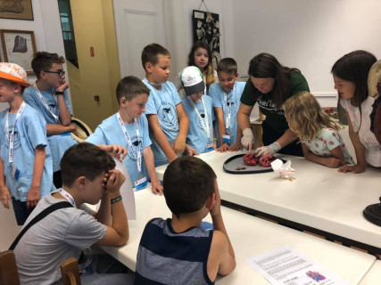 Győri Gyerekegyetem - 2019