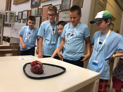 Győri Gyerekegyetem - 2019