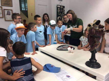 Győri Gyerekegyetem - 2019