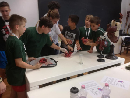 Győri Gyerekegyetem - 2019