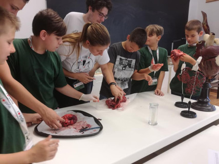 Győri Gyerekegyetem - 2019