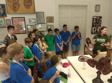 Győri Gyerekegyetem - 2019