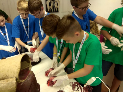 Győri Gyerekegyetem - 2019