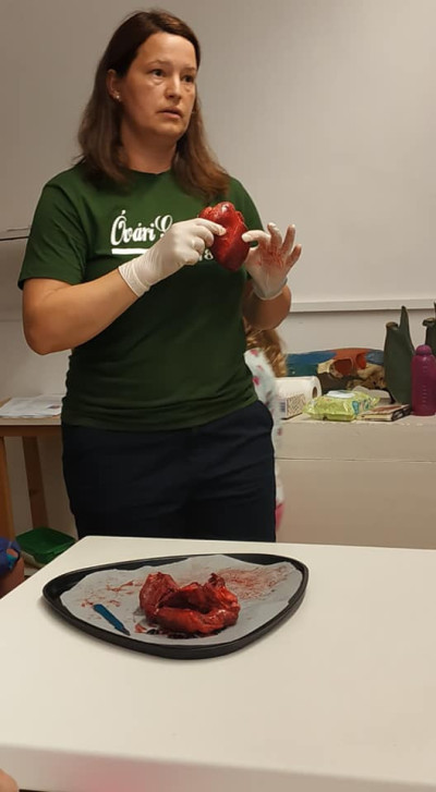 Győri Gyerekegyetem - 2019