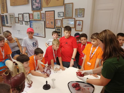 Győri Gyerekegyetem - 2019