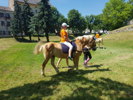 Győri Gyerekegyetem - 2019