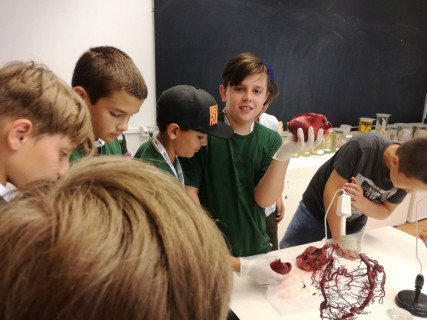 Győri Gyerekegyetem - 2019