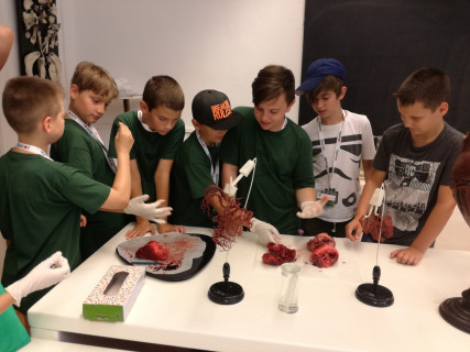 Győri Gyerekegyetem - 2019