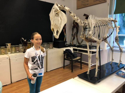 Győri Gyerekegyetem - 2019