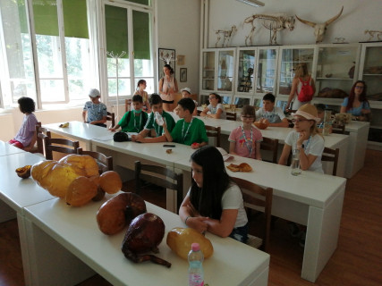 Győri Gyerekegyetem  - 2021