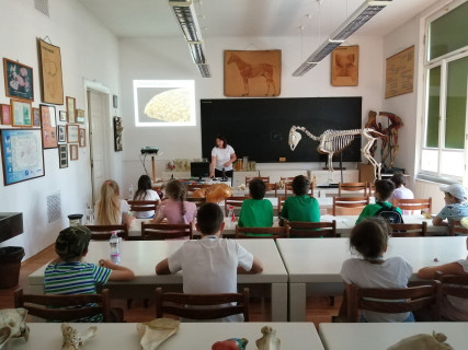 Győri Gyerekegyetem  - 2021