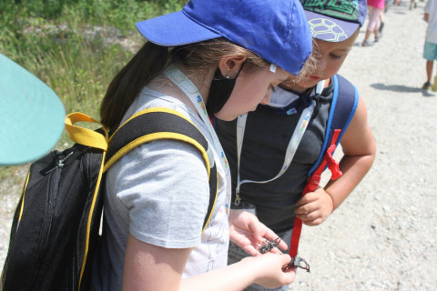 Mobilis Élmény7- nyári táborok - 2021