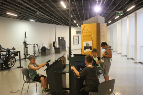 Mobilis Élmény7- nyári táborok - 2021