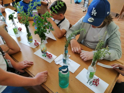 Győri Gyerekegyetem  - 2022