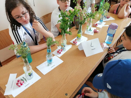 Győri Gyerekegyetem  - 2022