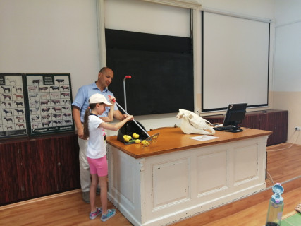 Győri Gyerekegyetem  - 2022