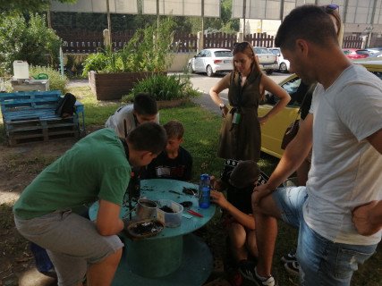 Győri Gyerekegyetem  - 2022