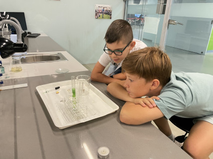 Mobilis Élmény7- nyári táborok - 2022.