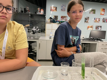 Mobilis Élmény7- nyári táborok - 2022.