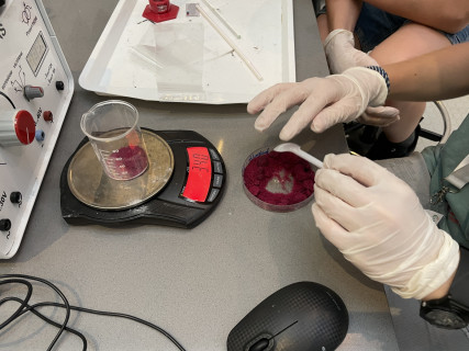 Mobilis Élmény7- nyári táborok - 2022.