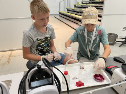 Mobilis Élmény7- nyári táborok - 2022.