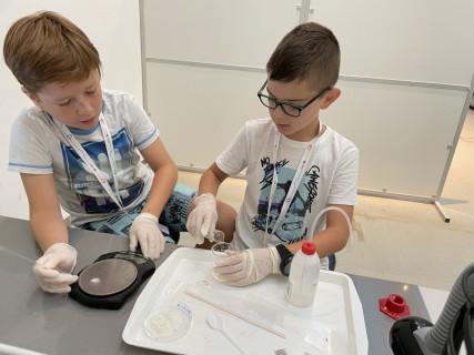 Mobilis Élmény7- nyári táborok - 2022.