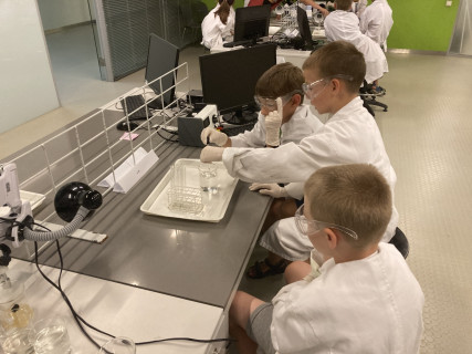 Mobilis Élmény7- nyári táborok 2023.