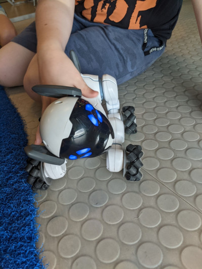 Mobilis Élmény7- nyári táborok 2023.