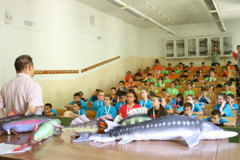 Győri Gyerekegyetem 2026 (második nap)