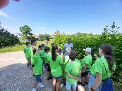 Győri Gyerekegyetem - 2024