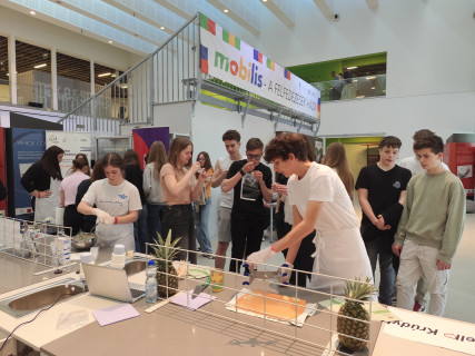 Kísérletbazár 2025