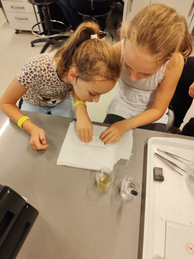 Kutatók Éjszakája-2024