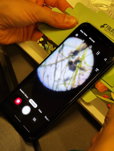 Kutatók Éjszakája-2024