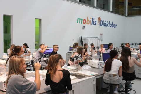 Mobilis Élmény7 tábor - 2026. 06.29 - 07.03. 