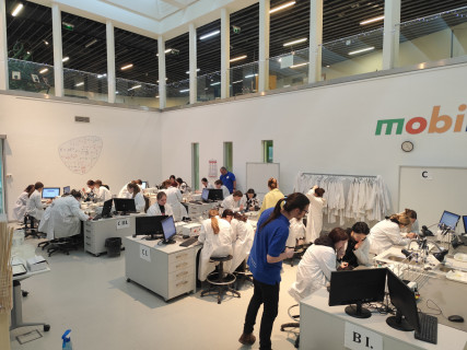 VP és SZTGY természettudományos foglalkozás