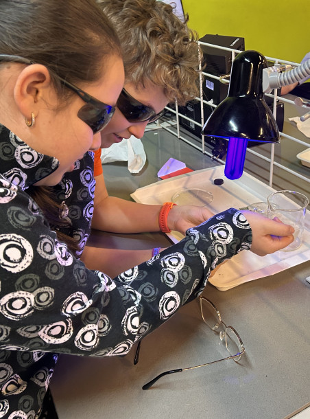 Tanórák a Mobilisben